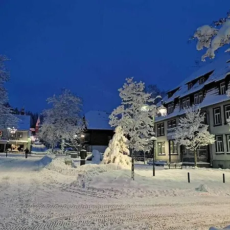 Happy Harz - Ray Of Hope Dom wakacyjny *