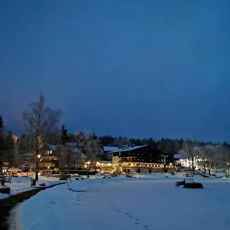 Happy Harz - Ray Of Hope *