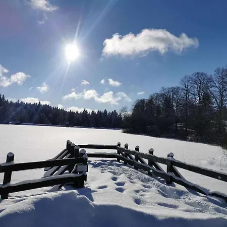 Happy Harz - Ray Of Hope Dom wakacyjny *